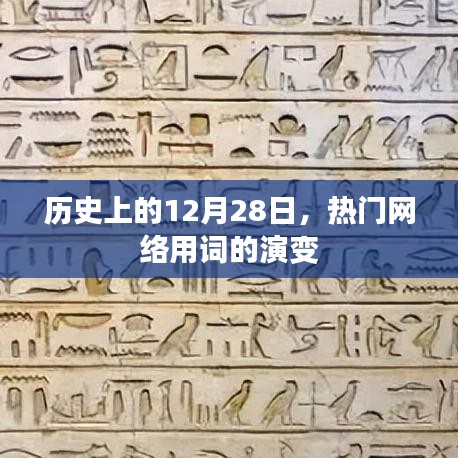 热门网络用词演变，历史上的十二月二十八日回顾