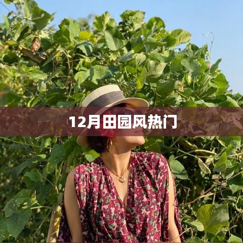 12月田园风流行趋势