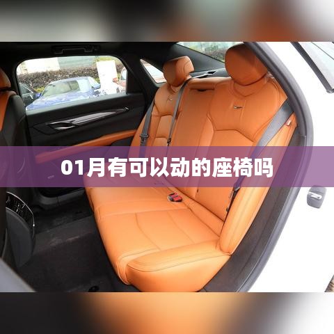 一月动态座椅信息