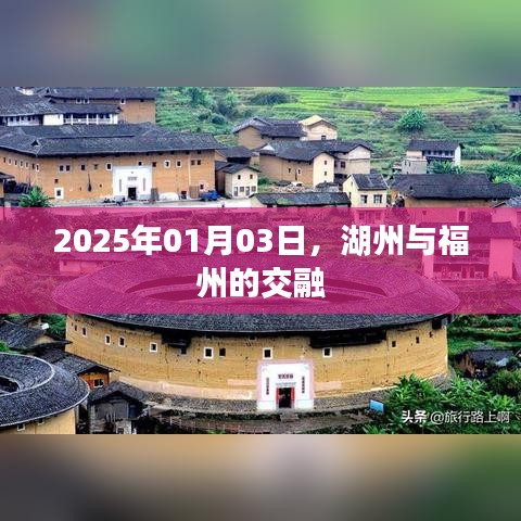 鸟吏鼈官 第3页