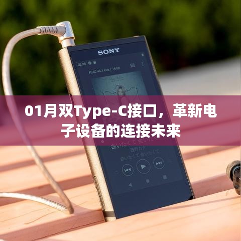 标新创异 第3页