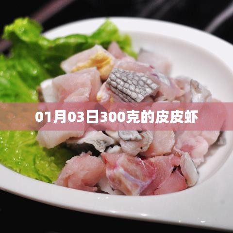 01月03日新鲜皮皮虾重量达300克