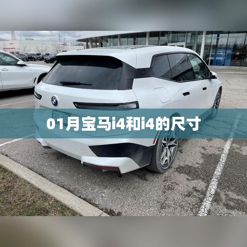 宝马i4尺寸解析，最新一月数据揭秘