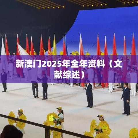 新澳门2025年全年资料（文献综述）