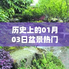 盆景历史中的一月三日，探寻盆景文化的重要时刻