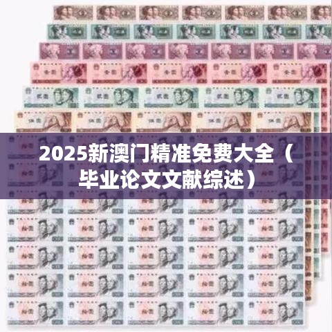 2025新澳门精准免费大全（毕业论文文献综述）