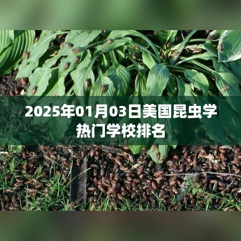 美国昆虫学热门学校排名榜揭晓，2025年最新排名出炉