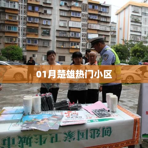 贵阴贱璧 第3页