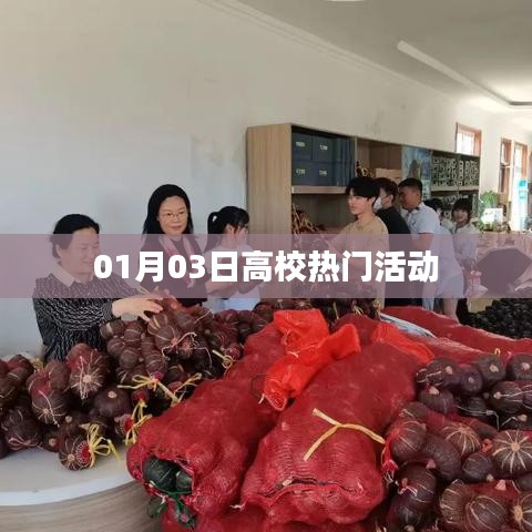 高校热门活动盘点（日期，01月03日）