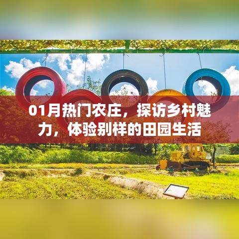 探访热门农庄，体验别样田园生活魅力