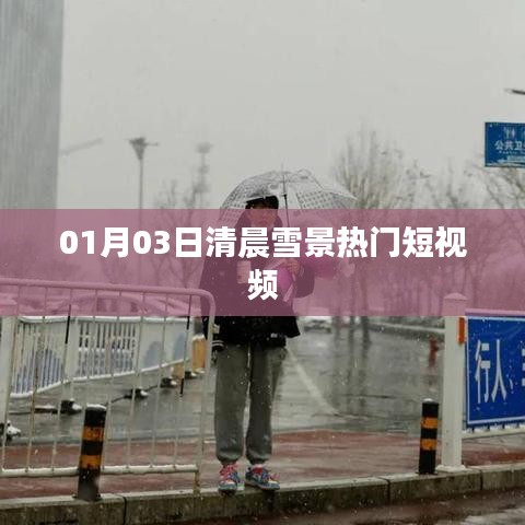 飞墙走壁 第3页