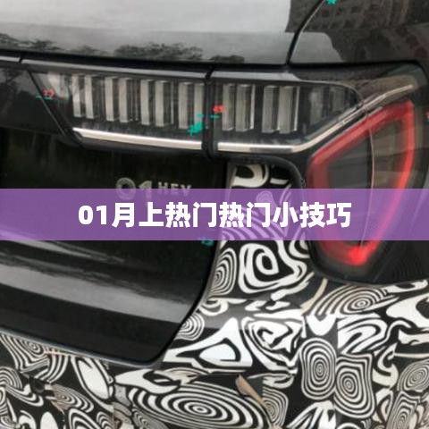 01月热门小技巧揭秘，轻松掌握流行趋势
