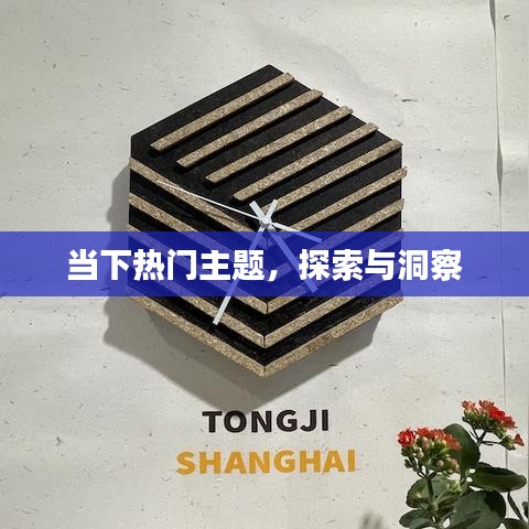 热门主题深度探索与洞察