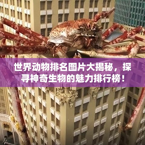 世界动物排名图片大揭秘，探寻神奇生物的魅力排行榜！