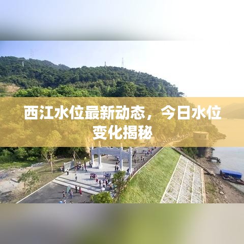 西江水位最新动态，今日水位变化揭秘