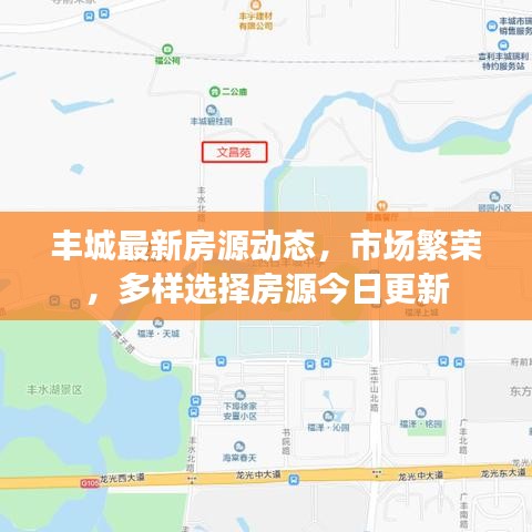 丰城最新房源动态，市场繁荣，多样选择房源今日更新