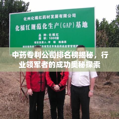 中药专利公司排名榜揭秘，行业领军者的成功奥秘探索