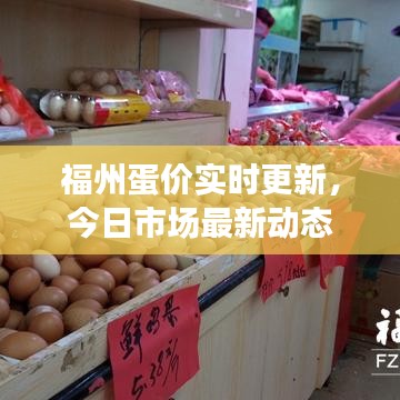福州蛋价实时更新，今日市场最新动态