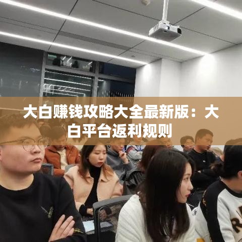大白赚钱攻略大全最新版：大白平台返利规则 