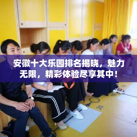 安徽十大乐园排名揭晓，魅力无限，精彩体验尽享其中！