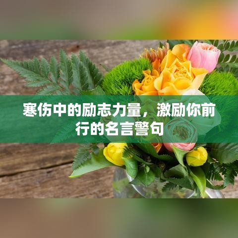 寒伤中的励志力量，激励你前行的名言警句