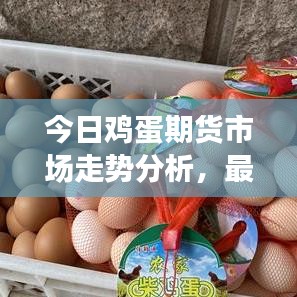今日鸡蛋期货市场走势分析，最新信息及交易策略揭秘
