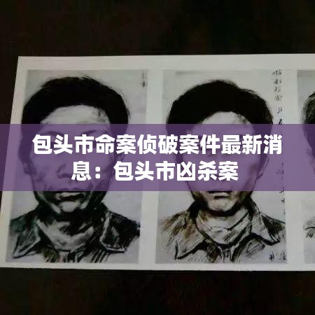 包头市命案侦破案件最新消息：包头市凶杀案 
