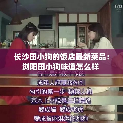 长沙田小狗的饭店最新菜品：浏阳田小狗味道怎么样 