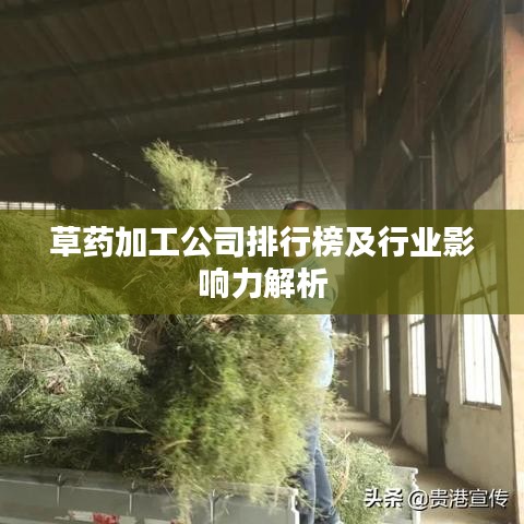 草药加工公司排行榜及行业影响力解析