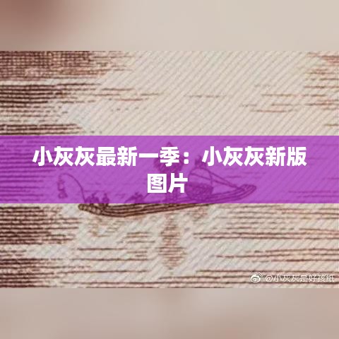 小灰灰最新一季：小灰灰新版图片 