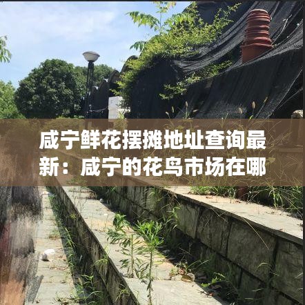 咸宁鲜花摆摊地址查询最新：咸宁的花鸟市场在哪里 