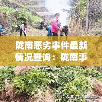 陇南恶劣事件最新情况查询：陇南事件2018 