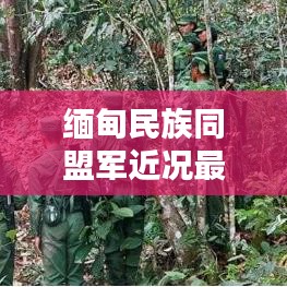 缅甸民族同盟军近况最新消息：缅甸同盟军有多少兵力 