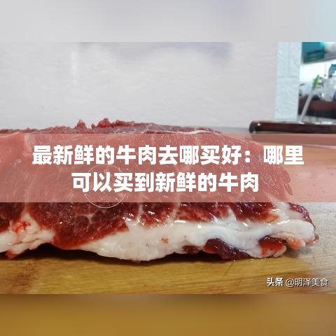 声如洪钟 第2页