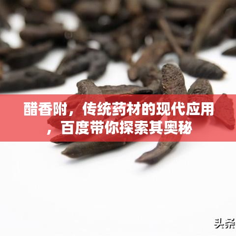心慌意乱 第3页