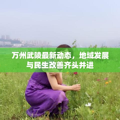 万州武陵最新动态，地域发展与民生改善齐头并进