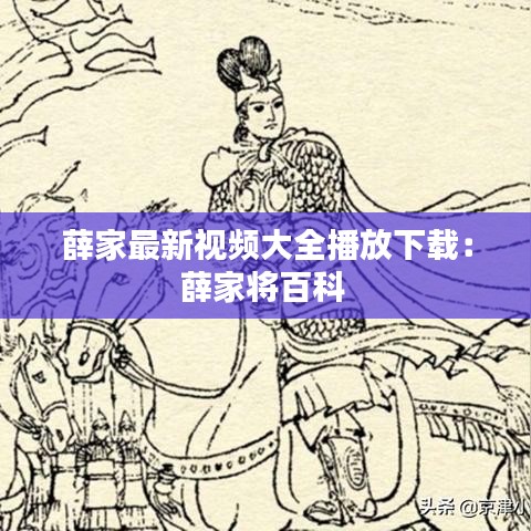 薛家最新视频大全播放下载：薛家将百科 