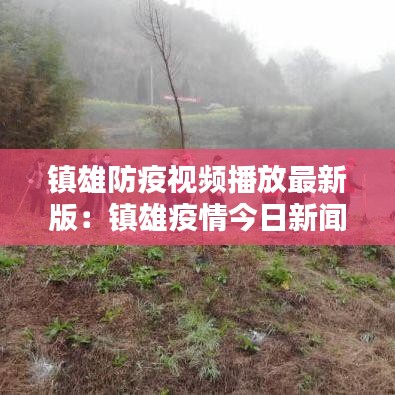 张口结舌 第2页
