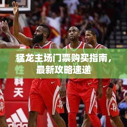 猛龙主场门票购买指南，最新攻略速递