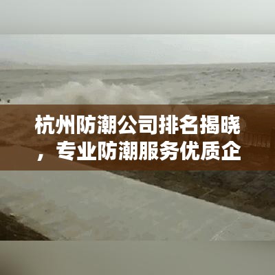 杭州防潮公司排名揭晓，专业防潮服务优质企业榜单