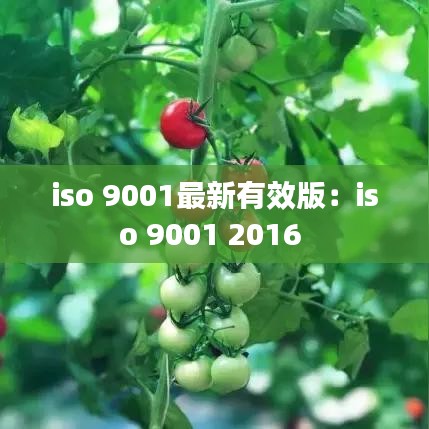 iso 9001最新有效版：iso 9001 2016 