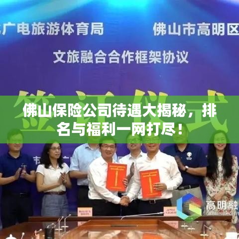 佛山保险公司待遇大揭秘，排名与福利一网打尽！