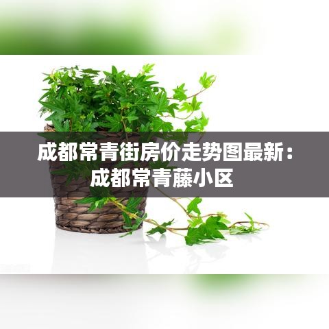 成都常青街房价走势图最新：成都常青藤小区 