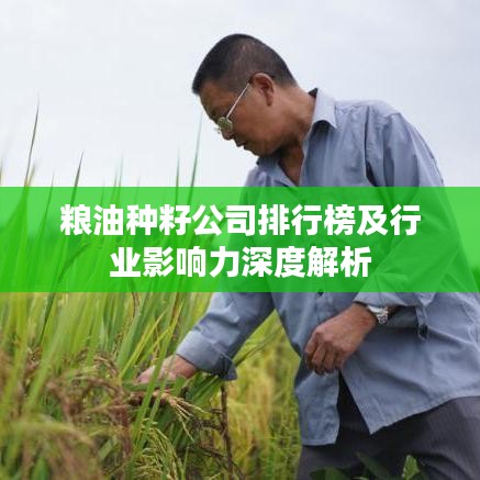 粮油种籽公司排行榜及行业影响力深度解析