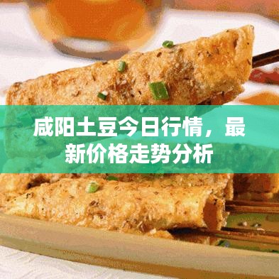 咸阳土豆今日行情，最新价格走势分析