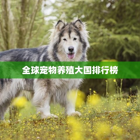 全球宠物养殖大国排行榜