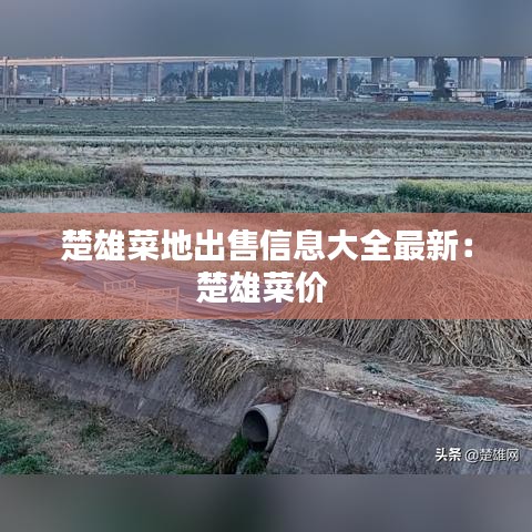 楚雄菜地出售信息大全最新：楚雄菜价 