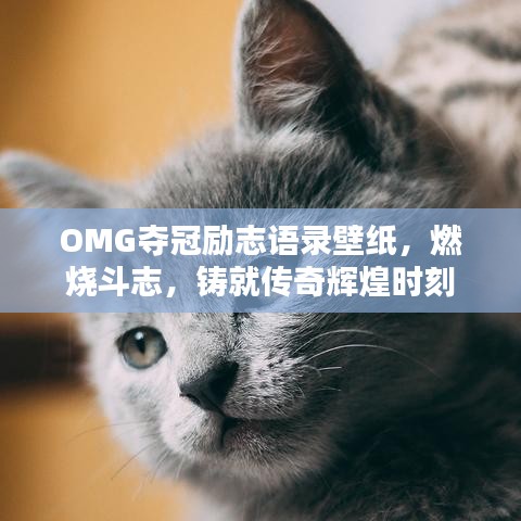 OMG夺冠励志语录壁纸，燃烧斗志，铸就传奇辉煌时刻