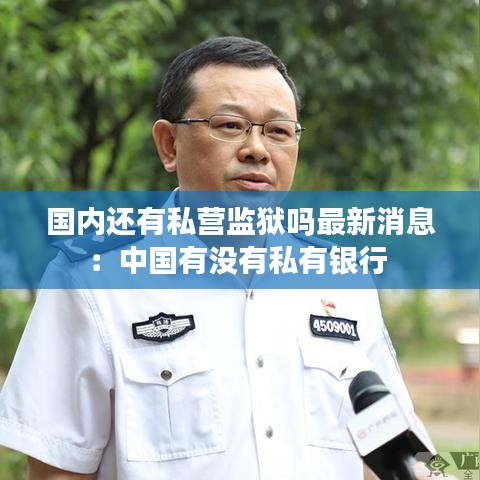 国内还有私营监狱吗最新消息：中国有没有私有银行 