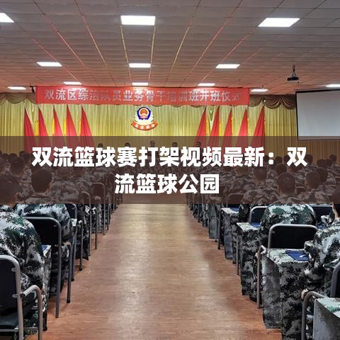 双流篮球赛打架视频最新：双流篮球公园 
